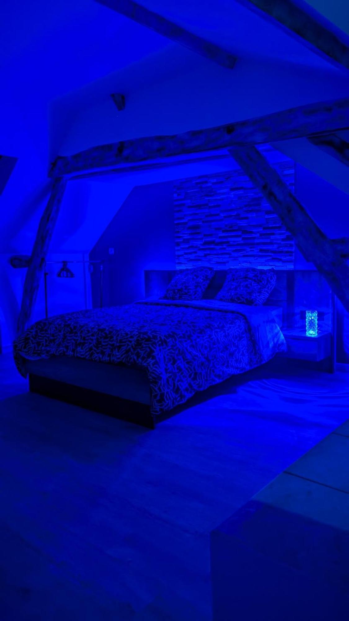 Appartement Le Bleuet